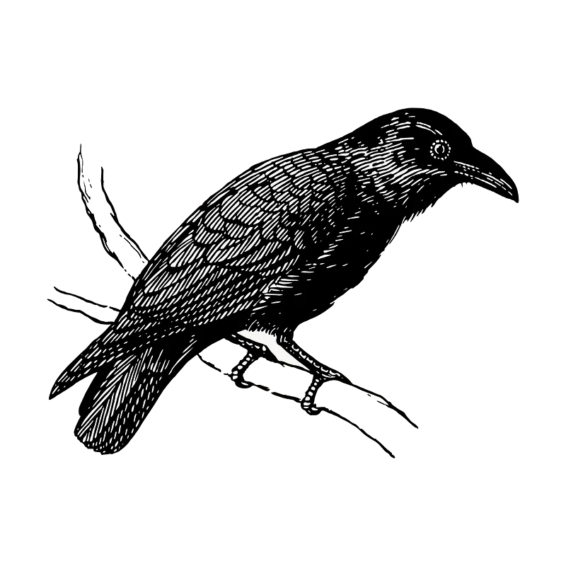 Writing Ravens logo